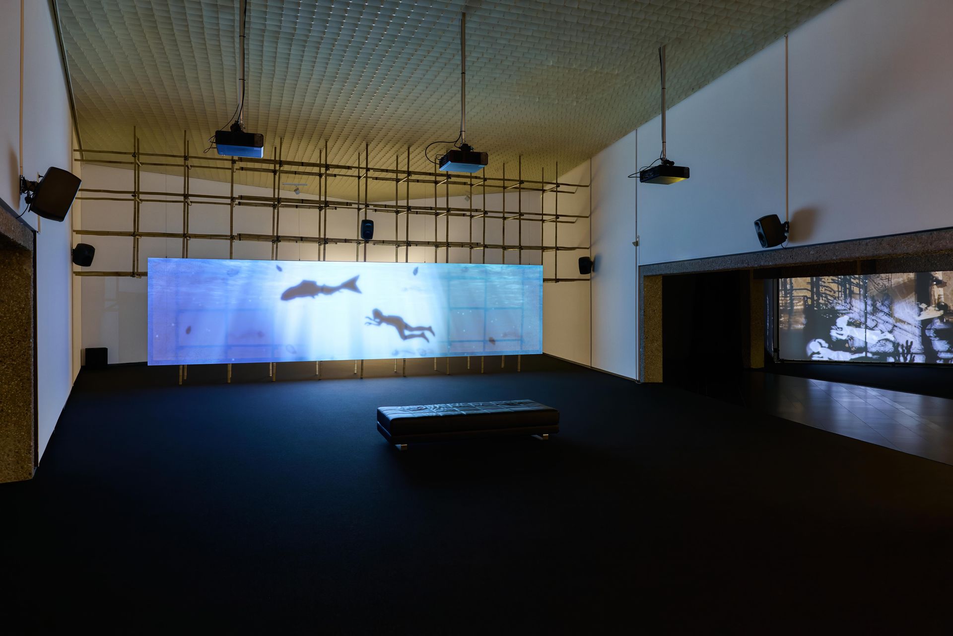 The Artist: Lap-See Lam's Shadow Worlds | The Art Journal | The